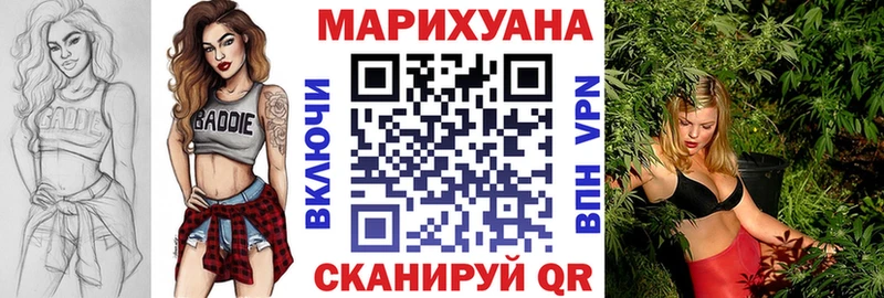 Конопля Amnesia  Купить закладки  Щучье 